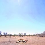 Fotos: Ernesto Méndez y Especial