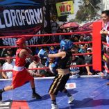 Boxeando por la Paz