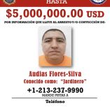Audias Flores Silva, El Jardinero