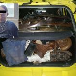 Los elementos de la Policía Auxiliar se acercaron a la vivienda en la que se cometía el robo, momento en el que los asaltantes salían del lugar