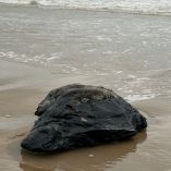 El fragmento de Chapopote, de aproximadamente un metro de largo por 80 centímetros de ancho y más de 80 kilogramos de peso, a tan sólo 20 kilómetros por mar de la frontera con Texas.