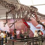 CIUDAD DE MÉXICO, 30ABRIL2025.- Familias celebran el Día del niño en las actividades gratuitas en marco de en la Plancha del Zócalo.FOTO: ANDREA MURCIA /CUARTOSCURO.COM