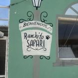 La acción la llevó a cabo la Procuraduría de Protección al Medio Ambiente de la entidad. El lugar albergaba un león, un tigre y lobos