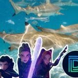 Las Guerreras K-pop llegan a Shark Week con ‘KPop Shark Heroes’, el inesperado especial de Discovery