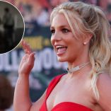 El video del arresto de Britney Spears se volvió viral en redes.