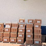 En la colonia Vicente Gurrero ubicaron a una persona que resguardaba varias cajas de cartón con medicinas