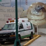 La infestación ocurre cuando las larvas de una mosca depositan sus huevecillos en heridas abiertas o lesiones de la piel