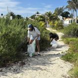 Jornada de limpieza en la playa tramo Yucalpetén en el municipio de Progreso en Yucatán.