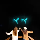 Foto: hpforbiddenforestexperience.com