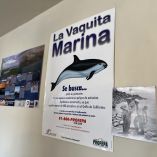 Las redes de enmalle y agalleras se van a poder seguir utilizando fuera de la Zona de Tolerancia Cero de la vaquita marina.