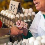 Canasta básica alimentaria, Economía, Alimentos, Salario mínimo, Coneval, Pobreza