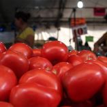 Jitomates apilados en un puesto de mercado