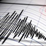 El sismo tuvo lugar a una latitud 14.21, una longitud -93.31 y una profundidad de 10 kilómetros, puntualizó el Sismológico. Foto: Archivo