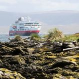 Reactivará Argentina reclamo sobre las Islas Malvinas 