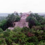 Calakmul fue una de las principales ciudades del mundo Maya y actualmente alberga la reserva de selva tropical más grande de México. Imagen tomada de Twitter: @CONANP_mx