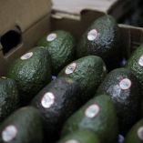 Aguacates