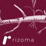 Plataforma informática Rizoma