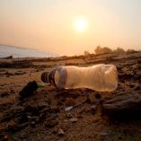 La organización ambientalista presentó los puntos principales de la iniciativa