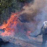 Incendio forestal en un bosque de México