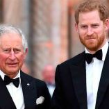 Rey Carlos III y el príncipe Harry
