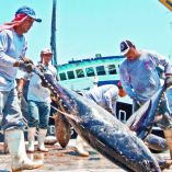 Emiten primer Bono Azul para fomentar pesca y acuacultura sostenibles en México