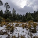 El Frente Frío 22 provocó el cierre del Nevado de Toluca. Foto: Cuartoscuro