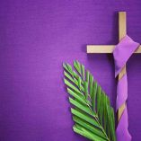 morado color cuaresma