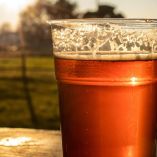 Te decimos en qué lugares sí habrá venta de alcohol. Foto: Pexels