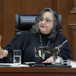 Norma Rocío Piña Hernández.