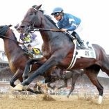 Junior Alvarado y su caballo Sovereingty.