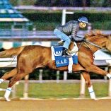 jockey mexicano Víctor Espinoza