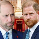 Príncipe William no se reconcilia con Harry en su visita a Reino Unido 