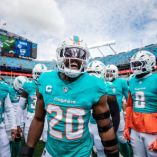 Se burlan de los Delfines