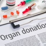 Quieres donar órganos, así te puedes registrar. Foto: Canva.