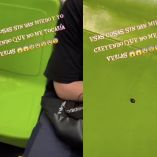 Chinche en el Metro CDMX.