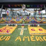 miguel piojo herrera, águilas del américa, máquina de cruz azul