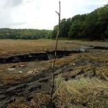 La bióloga Suny, de la empresa Cocodrilia, señaló que la laguna subía y bajaba de nivel dependiendo de la temporada de lluvia o de sequía, sin embargo, nunca había quedado tan seca como ocurrió este martes. Foto: Fátima Vázquez/ Corresponsal