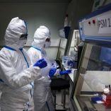 De acuerdo con los científicos, los humanos no tenemos anticuerpos para una gripe aviar H5. (Reuters)