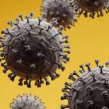 Al menos 10 muertes infantiles podrían estar ligadas a vacunas Covid: FDA