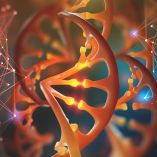 Una terapia génica avanza para obtener la cura contra el VIH