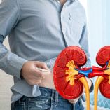 Diabetes en México y daño renal: el riesgo que va más allá de la glucosa Foto Canva
