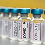 FDA abre investigación sobre posibles muertes vinculadas a vacunas covid-19