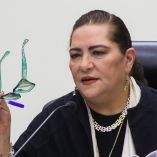 Guadalupe Taddei, presidenta del INE