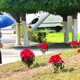 Con temperaturas que rondan entre los 33º a los 35º Celsius, habitantes de las ciudades de la costa y el desierto de Sonora, tendrán la Noche Buena y Navidad más cálida de su historia.