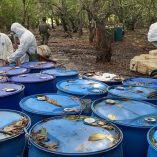 Resultados de la Semar