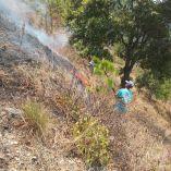 Habitantes de Yutazani Copala y El Manzanal combaten las llamas sin respaldo institucional.