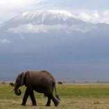 Vista al fondo del Monte Kilimanjaro, en Tanzania