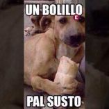 Un sismo de magnitud 6.5 sacudió la Ciudad de México la mañana del 2 de enero de 2026 y desató una ola de memes en redes sociales.

#sismo #cdmx #alertasísmica