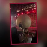 El empleado recibió el golpe de la bola en el evento de Indiana Jones.