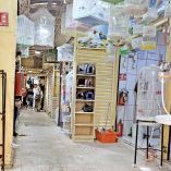 Locales del Mercado de Sonora lucen sin animales a la venta.